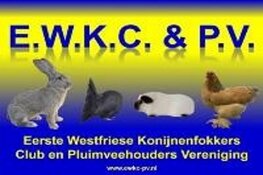 EWKC&PV organiseert haar kleindierententoonstelling bij Neefjes Tulpen in Berkhout