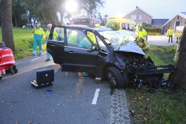 Automobilist botst tegen boom in Waarland: zwaargewond met traumaheli naar ziekenhuis