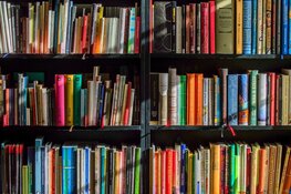 Minister opent nieuwe bibliotheek in Wognum: "Dit helpt een dorp levendig te houden"