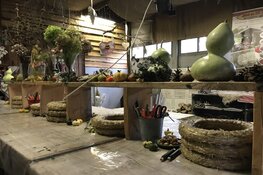Workshops bij Jam en Zo!