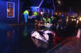 Twee gewonden bij scooterongeval Avenhorn