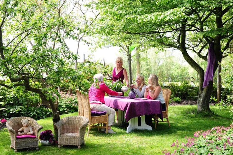 Theetuin Pronkjewail wordt Hightea-tuin Pronkjewail