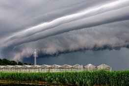Andijkse maakte spectaculaire weerfoto: "Op mijn knieën tussen de knotwilgen"