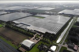 Plantenkwekerij Gitzels bundelt alle activiteiten in glastuinbouwgebied Het Grootslag