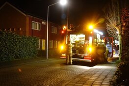 Oplettende buurtbewoner blust brand coniferenhaag