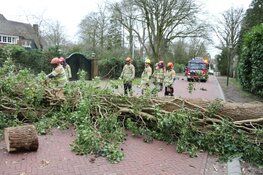 Zondagse storm Ciara houdt Nederland in greep (fotoalbum)