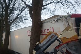 Vrachtwagen ramt boom, bestuurder ongedeerd