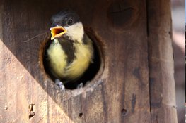 Nationale Tuinonderzoek van start