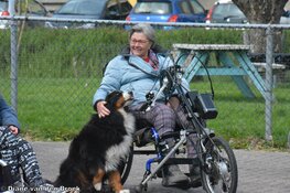 The Modest Tree tovert weer een glimlach tevoorschijn bij bewoners zorglocaties