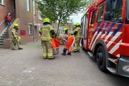 Boom omgewaaid in Enkhuizen