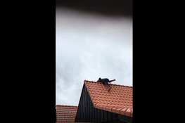 Verdachte brand voetbalclub Victoria-O op vrije voeten: schade is enorm