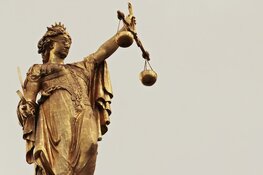 Nepmonteur (25) hoort eis van 4,5 jaar cel voor babbeltrucs: "Ik zat in een donkere periode"