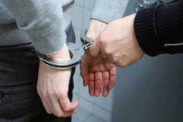 Verdachte straatroof aangehouden