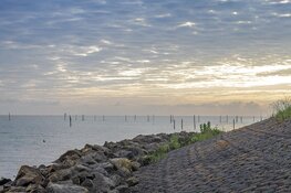 LTO West-Friesland kritisch op plannen Wieringerhoek: "Blijf van onze unieke watervoorraad af"