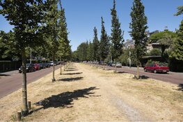 Bijna helft Nederlanders maakt zich zorgen over droogte