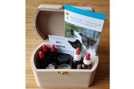 Workshop natuurgeneeskundige EHBO voor huisdieren