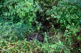 Klein jongetje assisteert bij blussen brandje Blokker