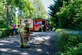 Klein jongetje assisteert bij blussen brandje Blokker