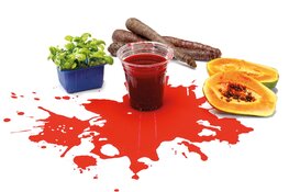 Fototentoonstelling Sow to Grow