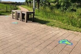 Volg het kikkerspoor