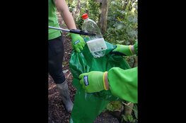 World Cleanup day in het Wilhelminaplantsoen