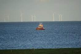 Persoon te water in Enkhuizen