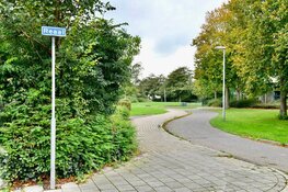 Twee verdachten aangehouden na vermeende bezit vuurwapen