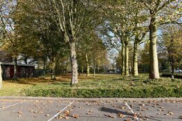 Beroving: getuigen gezocht!