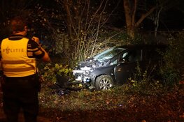 Automobilist tegen boom gereden