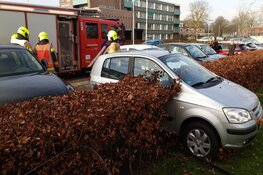 Oudere automobilist rijdt door de heg in Wognum