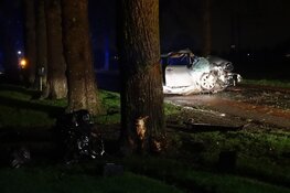 Bestuurder knalt met auto tegen boom in Westwoud, motor uit auto gevlogen