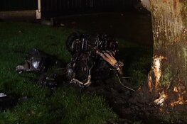 Bestuurder knalt met auto tegen boom in Westwoud, motor uit auto gevlogen