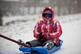 Winterse zondag in beeld