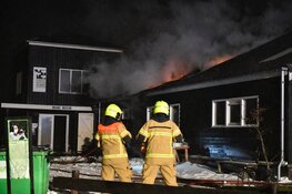 Help de koeien van het Rundveemuseum uit de brand!