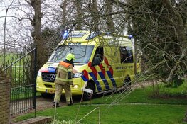 Traumahelikopter opgeroepen in Hauwert