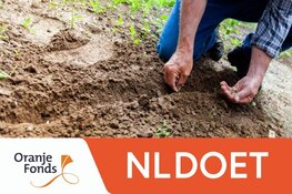 Vrijwilligers gezocht voor NLdoet