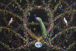 Westfries Museum open met nieuwe expositie over beschilderd behang