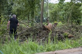 Ook vandaag weer zoektocht naar Sumanta Bansi
