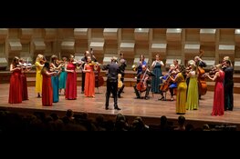 Oude Muziek Nu presenteert concertserie op geheel vernieuwde website