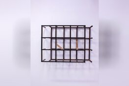 Tentoonstelling “GRIDS”: Art van Triest exposeert in De Boterhal