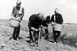 Boek over de ruilverkaveling Geestmerambacht