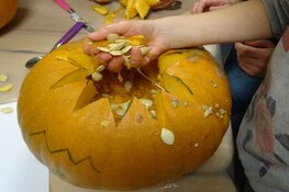 Workshop Pompoenen
