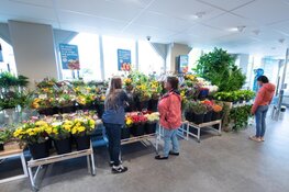 Veel belangstelling voor opening Nieuwe Albert Heijn Zwaag Dorpsstraat