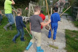 Een dagje helpen op de boerderij