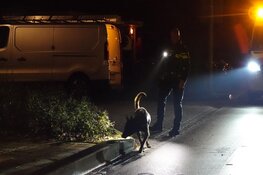 &#39;Vrouw opzettelijk door auto aangereden in Enkhuizen&#39;