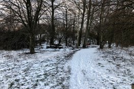 Winterse kerstvakantie-activiteiten