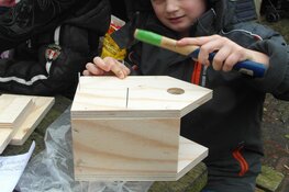 Workshop vogelhuisje timmeren