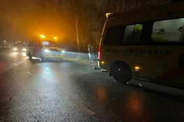 Auto eindigt tegen boom in Zwaag