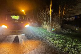 Auto eindigt tegen boom in Zwaag