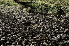 Auto te water in Wervershoof